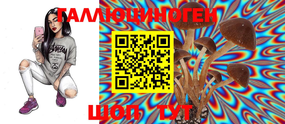 Нефтекамск  Псилоцибиновые грибы Psilocybine cubensis  Вход с VPN 